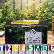 رفع زردی و خشکی گل و گیاه آپارتمانی (تضمینی) اوسان شاپ