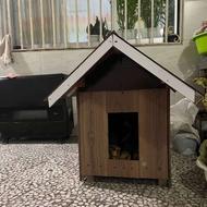 لونه سگ چوبی