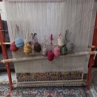 دار قالی سالم و تمیز