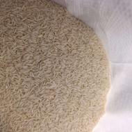 برنج هاشمی گیلان