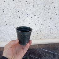 فروش تعداد 4000عدد گلدان نشا8