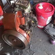 مارگو و تیلر