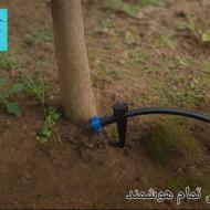 آبیاری قطره ای اتوماتیک (هوشمند) در گیلان