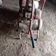 شیر دوش گاو سالم