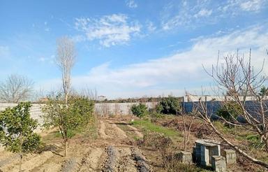 810متر باغ همراه بایک اتاقک ومحصول