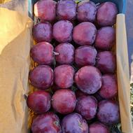 فروش سیب قرمز ممتاز دو ردیفه