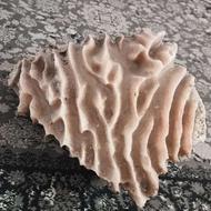 سنگ نمکی خاص