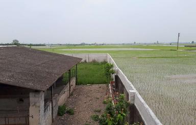 فروش دامداری