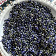 فروش گل بنفشه (ونوشه)