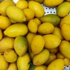 لیمو خشک شده(لایم کوات)