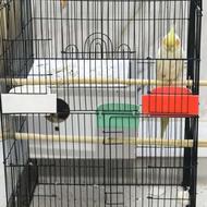 جفت عروس هلندی