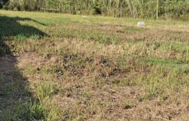 فروش زمین مسکونی 500 متر درروستا گیلاکجان رودسر