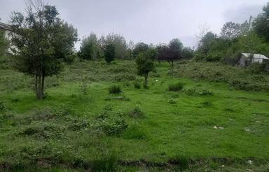 260 متر زمین مسکونی با جواز