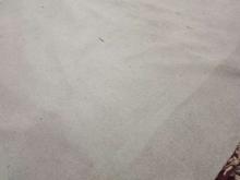 پالاز موکت‌ در شیپور