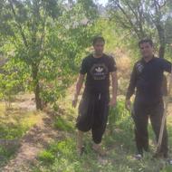 زمین دهستان سخوید روستایی مزرعه علی