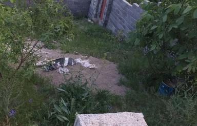 زمین در رودهن حدود 300