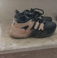 تعدادی کفش وکتانی