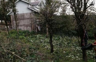 فروش زمین مسکونی