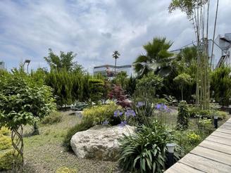 550 متر ویلا مدرن/استخردار وازیوار