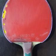 راکت میزوتانی zlc همراه با رویه های نکسوس ای لل48 پرو