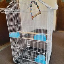 قفس بزرگ پرنده