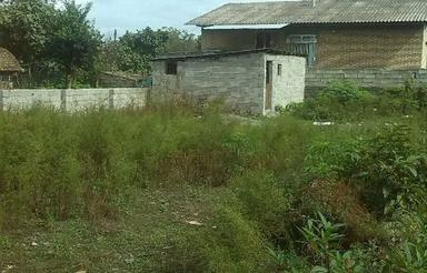 خریدار واقعی زمین 200 متری و بیشتر درلیسار و حومه هستیمِ