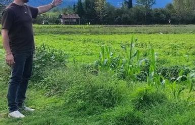 فروش زمین سند مشاع