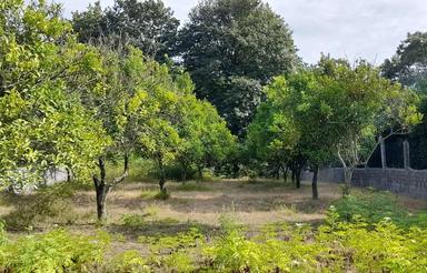 باغ جاده اهنگرکلا