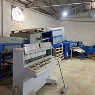 سورتینگ میوه و مرکبات