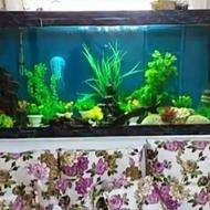 آکواریوم ماهی