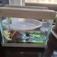 آکواریوم نو