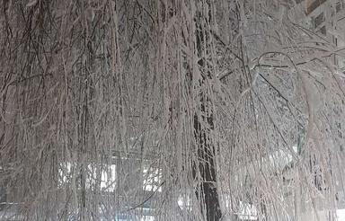 خانه ای کرایه ای دارم 2 خواب