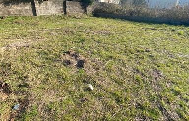 فروش زمین مسکونی 350 متر در نعمت آباد