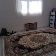 فرش 3×2 طرح نسترن قیمت 17م نو و سالم