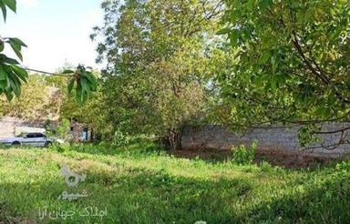 فروش زمین مسکونی 228 متر