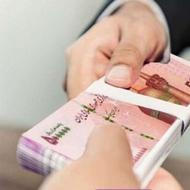 ضامن برای وام ملی
