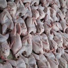 فروش بلدرچین زنده و کشتار روز