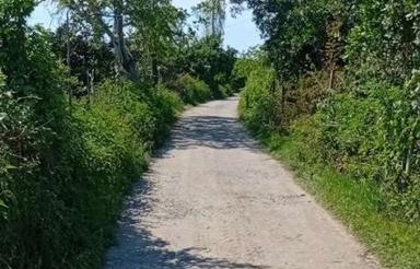 قطعه باغی سند دارد