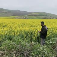 سم پاشی هوایی گروه سیدسامان پورعباس