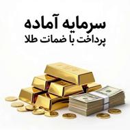 پرداخت سرمایه با ضمانت طلا
