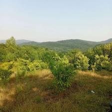 فروش زمین 3200 متری در روستای توریستی امره ساری