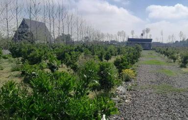 فروش زمین کشاورزی 3000 متر در اوجی آباد