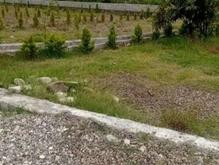 فروش زمین مسکونی 150 متر در خانه دریا در شیپور