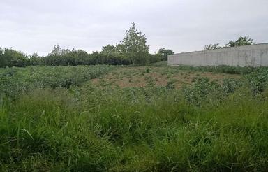فروش زمین تجاری مسکونی 370 متر /تاپ لوکیشن