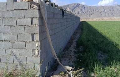 باغ نیمه ساخت