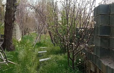 اجاره روزانه باغ ویلایی سپیدان