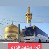 تور های داخلی و خارجی وان ترکیه