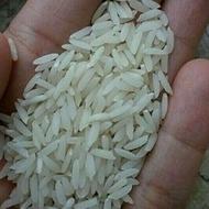 برنج هاشمی عالی