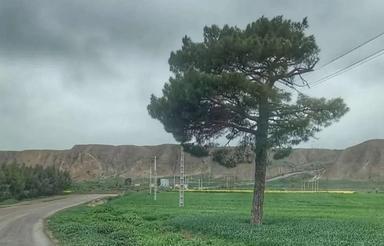 فروش زمین مسکونی تجاری در روستای خواجه نفس