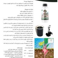کود کامل عالی ارگانیک بر پای مرغی ( عمده و خرده)
